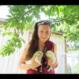 Great Cat Sitter