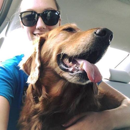 Pet Care Provider Ashley T's Profile Picture