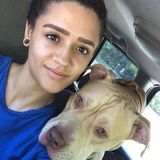 Experienced pet sitter
