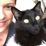 Pet lover
