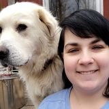 A Dog Lover Looking To Walk Dogs!
