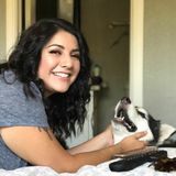 SPCA Volunteer looking to help you