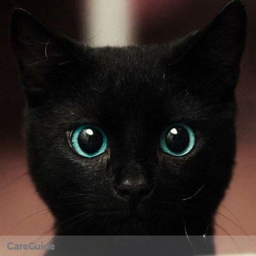 Pet Care Provider Elena Z's Profile Picture