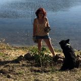 Great companion! Interviewing For Durango or surrounding areas Home Sitter Jobs and animal caretakers
