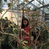 House Sitter in Bakersfield specializing in indoor plant care and outdoor garden/landscaping