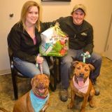 Veterinary Assistant for all your pets needs!