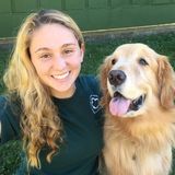 Tuscaloosa Animal Caregiver Interested In Job Opportunities