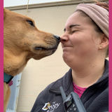 My name is Jacqueline wyche, I am going to school currently for K-9 obedience and dog training.