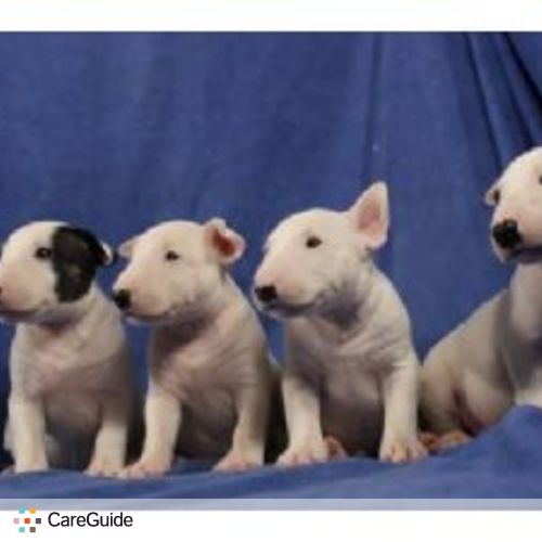 Pet Care Provider Eva G's Profile Picture