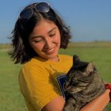 Interested In a Cat Sitter Job in Waxahachie, Texas
