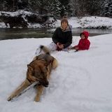 I am an experienced, friendly, pet lover, who is comfortable working with almost any animal!