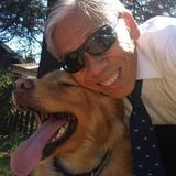 Experienced pet-sitter/dog walker