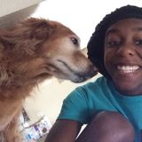 Mobile Pet Sitter Seeking Job Opportunities