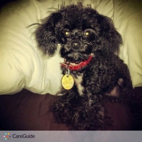 Pet Care Provider Edgar M's Profile Picture