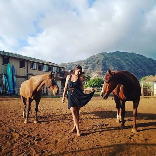 House Sitter Provider Alyssa R's Profile Picture