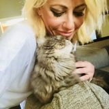 Seeking a House Sitting Opportunity !