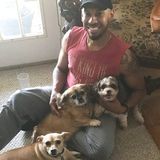 Fayetteville Animal Lover Flexible, Full-Time Caregiver.