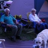 Galion Pet/House Sitter