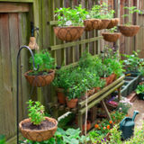 Experienced passionate indoor and outdoor gardener! Apartment/Business/Residential experience!
