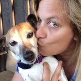 East Aurora Dog Walker / Experienced Pet Sitter - Also areas of WNY (Southtowns)