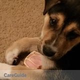 Puppies Care For 2