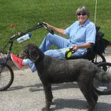 Palm Coast Pet Sitter Available