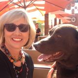 Searching for Cave Creek House Sitter Opportunity