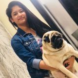 Interviewing For Scarborough Pet Sitting Professional, Ontario Jobs