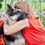 Pet sitter