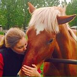Fort Collins Pet Sitter Available For Work in Colorado