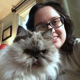 Lifelong animal lover and cat expert looking for pet sitting jobs in the Philly area