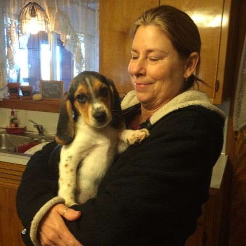 Pet Care Job Laura Chennilaro's Profile Picture