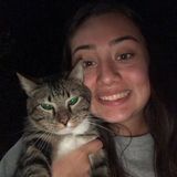 I love my animals let me love yours too !