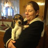 Looking for energetic loving sitter