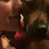 Hard Working Dog Walker, dog sitter, cat sitter,etc. Available Immediately