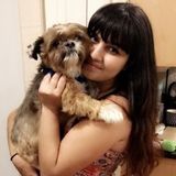 Available: Talented Pet Care Provider in Lexington, Massachusetts