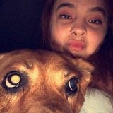 Herndon Dog Sitter Available For Job Opportunities in Virginia