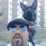 Capable Animal Caregiver in Syracuse