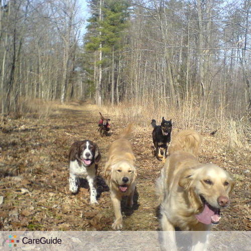 Pet Care Provider Lindsay A's Profile Picture