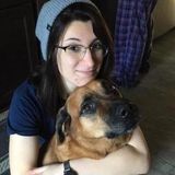 Dog walker and sitter in Williamsburg, Brooklyn!