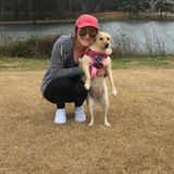 Dog Mom