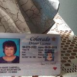 Campbell and koehler cleaning Services