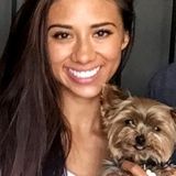 Animal Lover available for weekend Pet Walking and Sitting