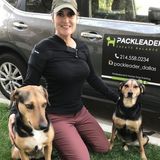 Professional dog trainer recently relocated to Portland from Dallas, Texas