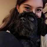 San Rafael Animal Lover Available For Being Hired in California