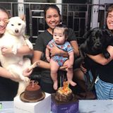 Looking to Provide Exceptional Care for Your Child, Housekeeping and Pet Care