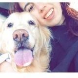 Ill be your dogs best friend