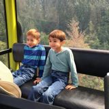 Looking for a Babysitter in the Niagara Falls Area for my two boys, a dog and a kitten.