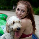 Skilled Pet Carer in Hatfield