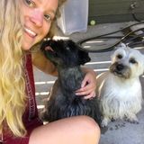 Lakewood/Denver Pet Care/House Sitter Provider Available For Being Hired in Colorado